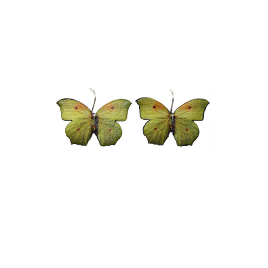Pendientes Cortos Mariposa Verde